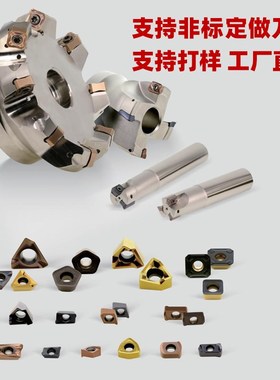 戴杰通装黛杰刀片YPHW100308ZER-15精加工DH102高硬度钢件铣刀粒