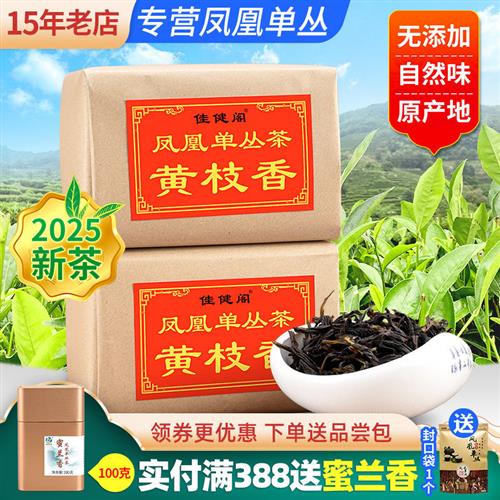 佳健阁【黄枝香】潮州凤凰单枞茶 传统纸包装 凤凰单丛 春茶500g