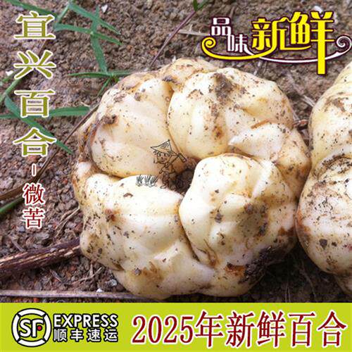 2025年宜兴新鲜大百合5斤3斤1000g宜兴特产现挖农家食用微苦百合