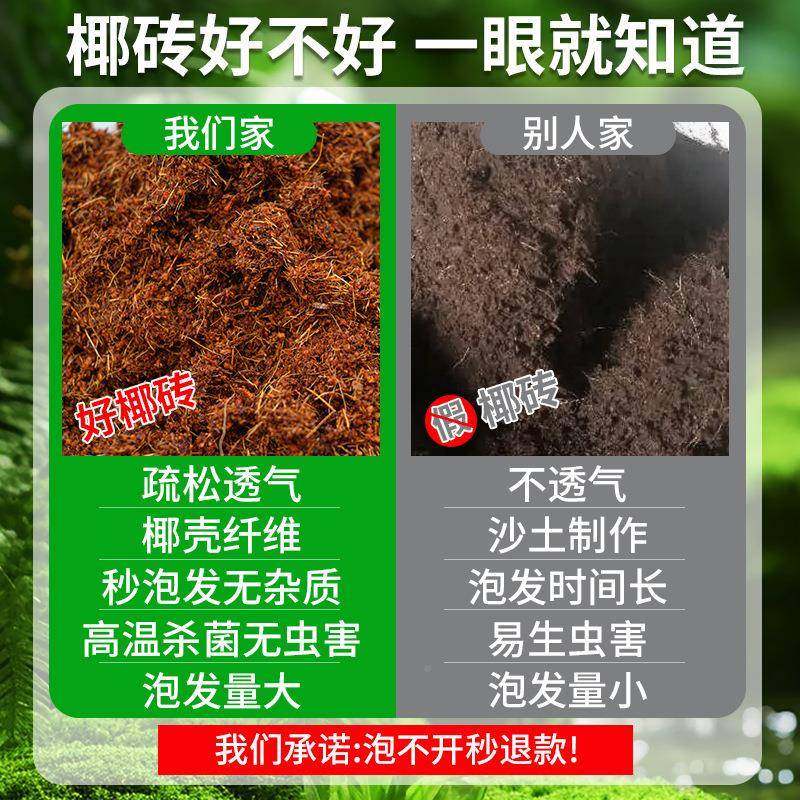 9斤大块椰花营土养土养型椰子壳壤YEyNEcQw耶砖种菜盆栽脱盐砖椰,农用物资,育苗/栽培基质,淘宝优惠券,粉丝福利购,淘宝优惠卷