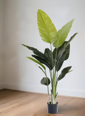 仿绿植旅人5a83905真蕉轻奢装饰大型室内客造摆件植物盆厅栽景假