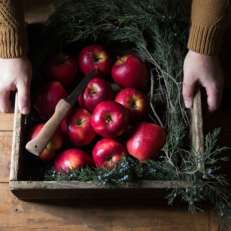 NfT 乡村古董旧木盒 方形w实木花园分类收纳 水果蔬菜筐 拍摄道具