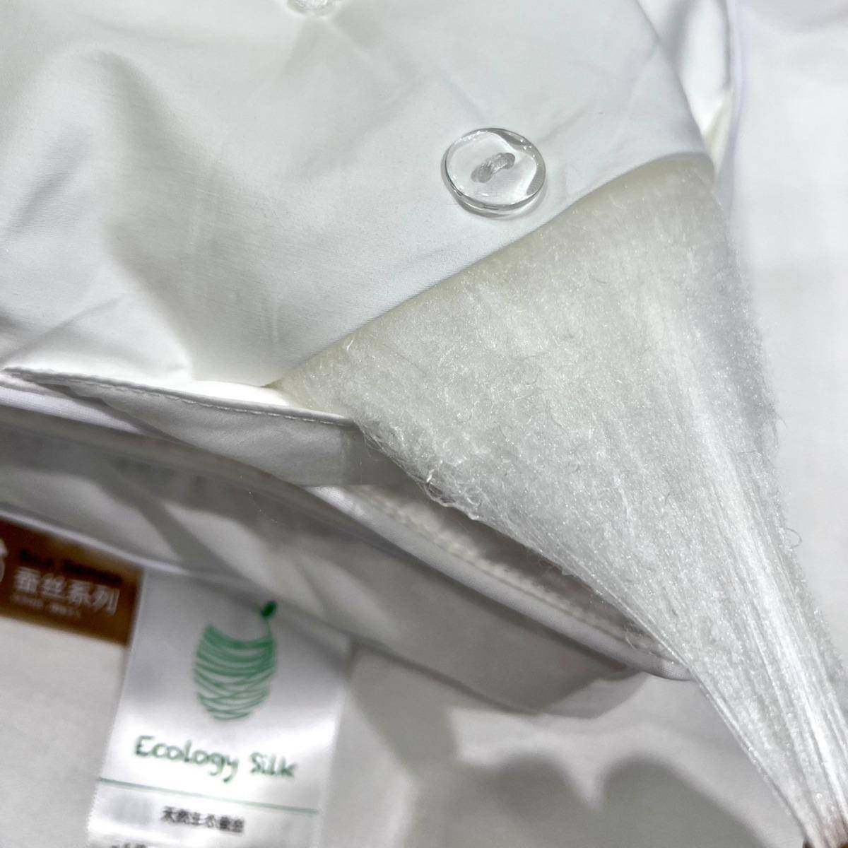 轻奢蚕丝100超匹马棉枕蚕韵BO丝享细雪纤绒维家用星级酒店枕头,床上用品,U型枕/便携枕,淘宝优惠券,粉丝福利购,淘宝优惠卷