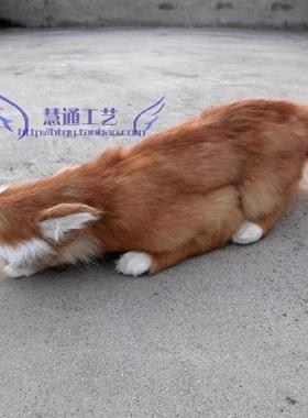 狸VMQ真狐摆件仿摄影具仿道真动物模型狐狸