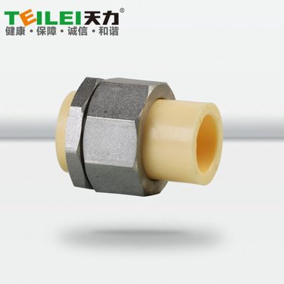 天力管水管 进口PPR 材质水管配件 抗菌6分管双承口活接头