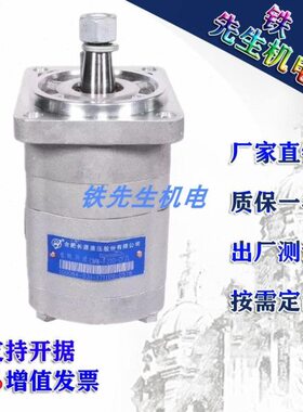 长源齿轮CMW3-F204/F206/F208/F211/F212.5/F216/F220-CLP/Z 马达