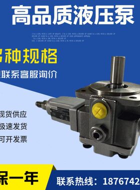 PV7-1X/06-10RA01MA0-05/PV7-1X/06-10RA01MA0-10油泵