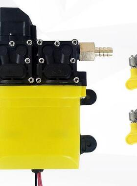 ebay24V36V48V120W8L大流量智能双核隔膜泵带铜接头