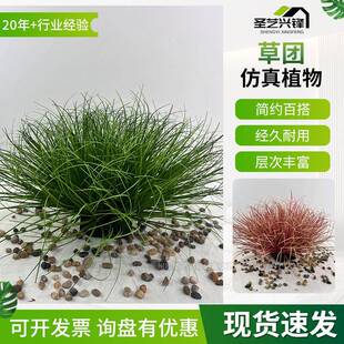 现货仿真植物假草堆道具蒲草仿真绿植高级感洋葱草人造草仿真草