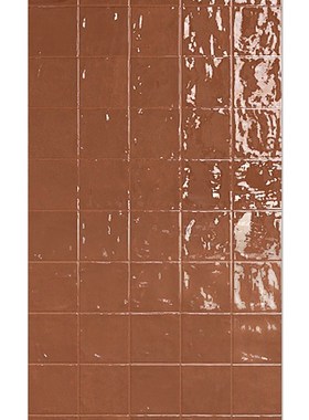 Van Idnn法式复古风格浴室釉面砖红色浴室砖深色牡丹墙砖厨房砖地