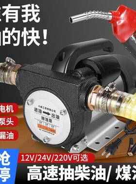 电动抽油泵1v2v4v2220柴BKI泵小型抽油机油自吸泵抽水加油神器加