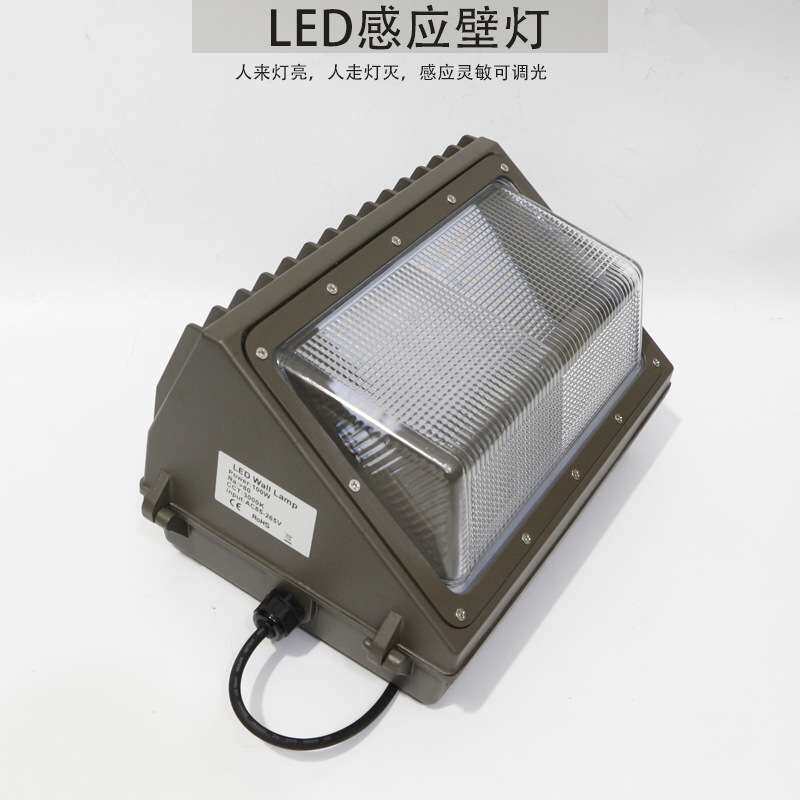 车库LED灯人体感应30W40W50W60W壁灯雷达感应微亮调光灯具