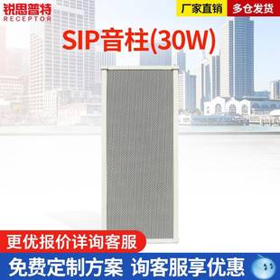 ip网络广播对讲音响校园公园景区平安城市村村通广播喇叭30W音柱