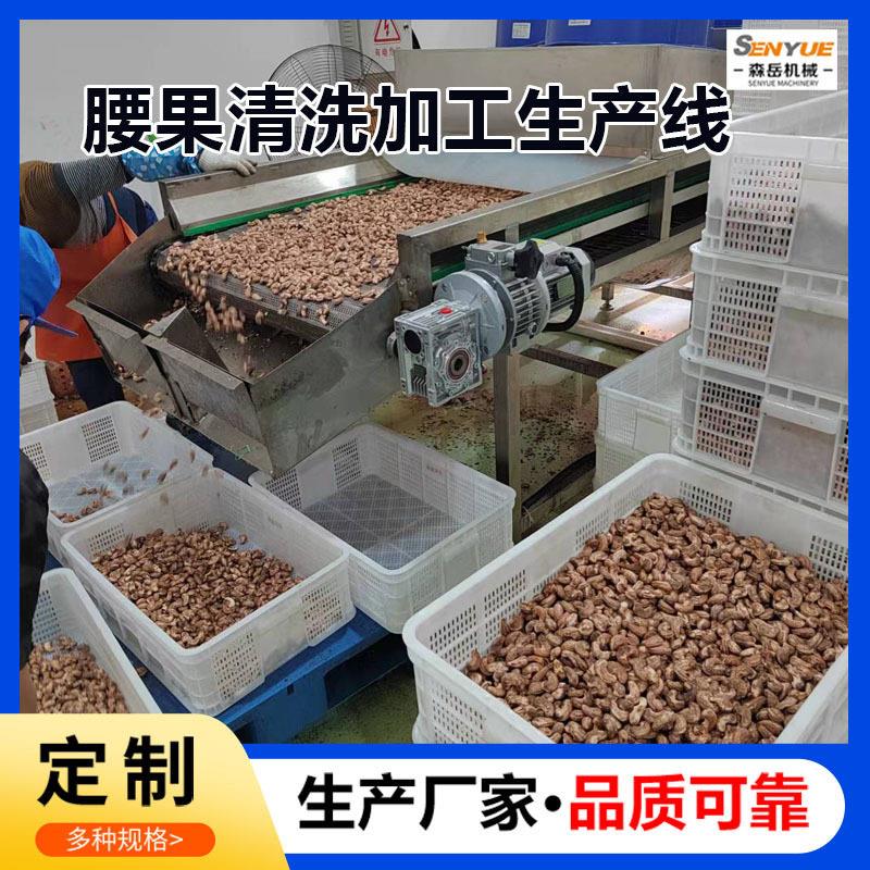 腰果清洗风干线干果加工清洗烘干设备蚕豆清洗机大豆玉米清洗机