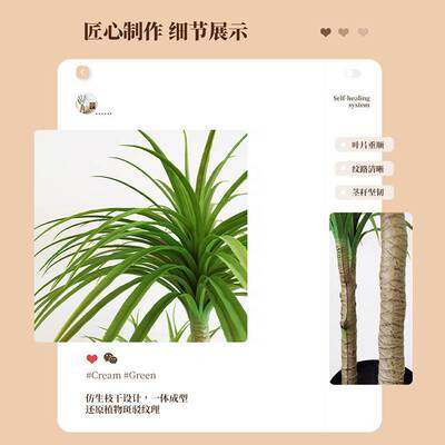 仿真绿植龙血树假植物高端轻奢客厅装饰树室内大型盆栽落地摆件