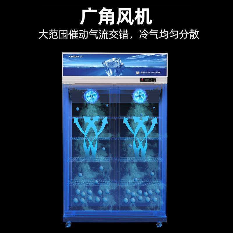 星星冷藏展示柜双开门保鲜柜饮料柜518升商用冰箱超市啤酒冰柜