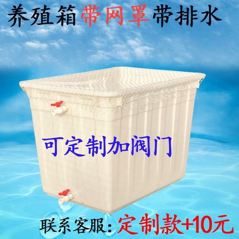 带排水塑料水箱方桶家用养鱼养厚290龟带网罩兜水储产长方形水养图片