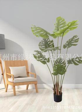 真绿假盆栽龟植背竹室内橱ll66522窗装饰仿龟背叶橄榄树