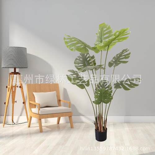 真绿假盆栽龟植背竹室内橱ll66522窗装饰仿龟背叶橄榄树