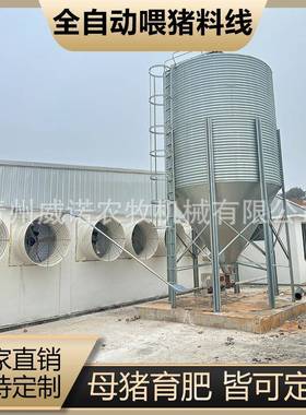 养猪料线喂料IHT绞设备猪用养殖龙塞盘配件料塔动料线育肥全自套