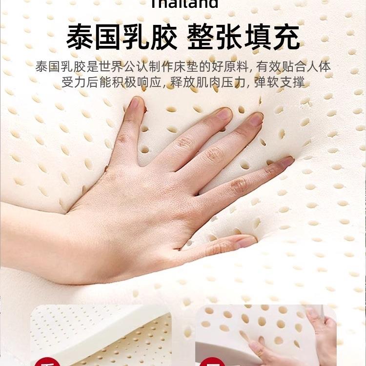 乳胶床单垫软2025027垫家卧记忆棉榻榻米垫室子宿舍学生人褥垫用