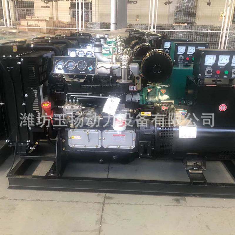 潍坊50千瓦发电机组 380V小区备用电源 30KW柴油发电机组