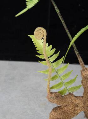 仿真单片蕨叶室内自然禅意中式猴头蕨叶绿植装饰蕨落地植物造景叶
