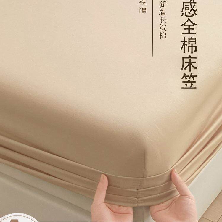床笠单件100纯棉床罩三件套2025新款四季通用床单保护床垫罩