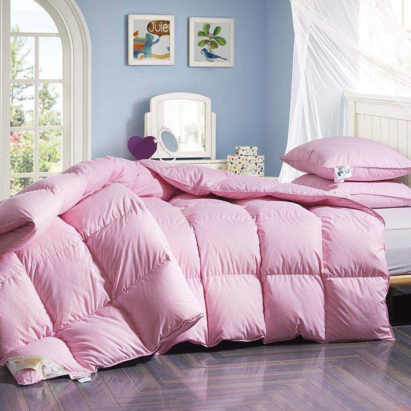 送被套冬季加厚保暖8/10斤单双人春秋羽绒被羽丝绒棉被被芯