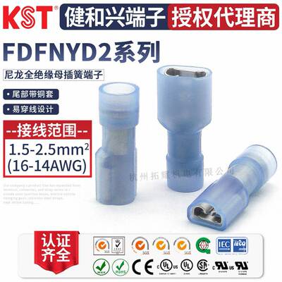 健和兴FDFNYD2-187(5)/205(8)/250尼龙绝缘带铜套端子UL认证