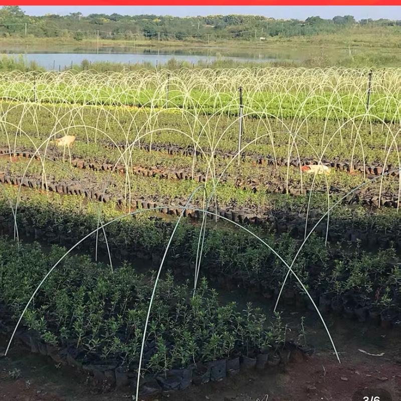 100条农用大棚k拱棚玻璃纤维杆高弹力纤维玻璃钢支架支撑杆帐篷杆