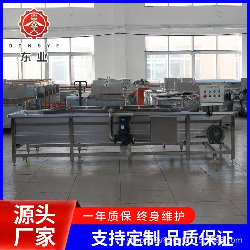 蔬菜去污去泥沙果蔬清洗机大型全自动鼓泡清洗设备高效多功能除菌