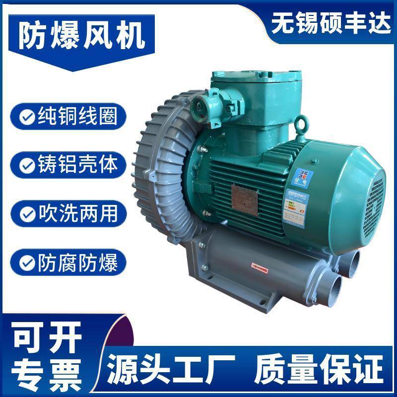 二级能效易燃易爆粉尘防爆高压风机EXtDA21IP65大压力高密封