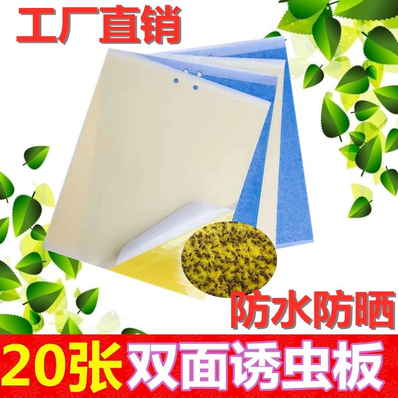粘虫板黄板诱虫板纸贴双面蓝板黄色沾蚊子杀黑虫灭小飞虫果蝇大棚,鲜花速递/花卉仿真/绿植园艺,其它园艺用品,淘宝优惠券,粉丝福利购,淘宝优惠卷