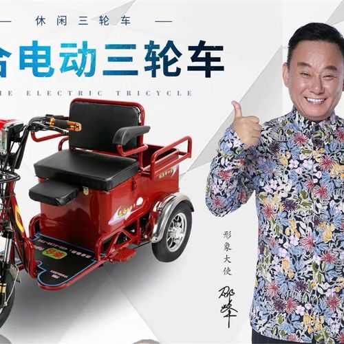 电动三轮车接送孩子成人家用新款小型货车老人老年电瓶三轮爬坡王