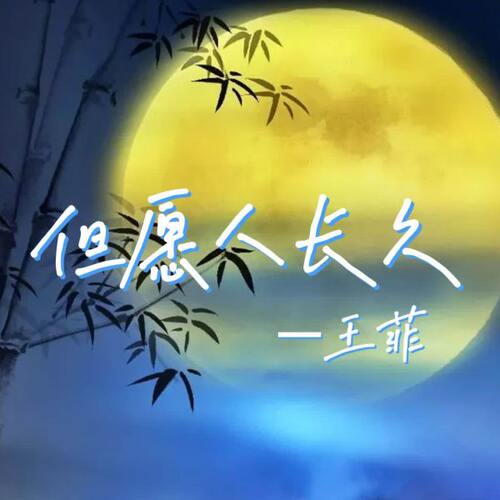 但愿人长久 扒谱服务 萨克斯谱 单簧管 长笛谱 小号 小提琴 伴奏