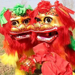 龙狮表演北狮笑脸型正宗藏牛毛小白狮狮头双人南狮舞龙舞狮道具