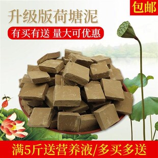 荷塘泥天然纯正河塘泥淤泥塘泥碗莲睡莲水生花卉专用营养泥营养土