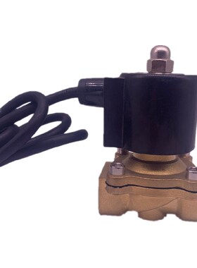 排水阀全铜常闭电磁阀开关阀AC220V水阀DC24V线圈4分 6分 1寸 2寸