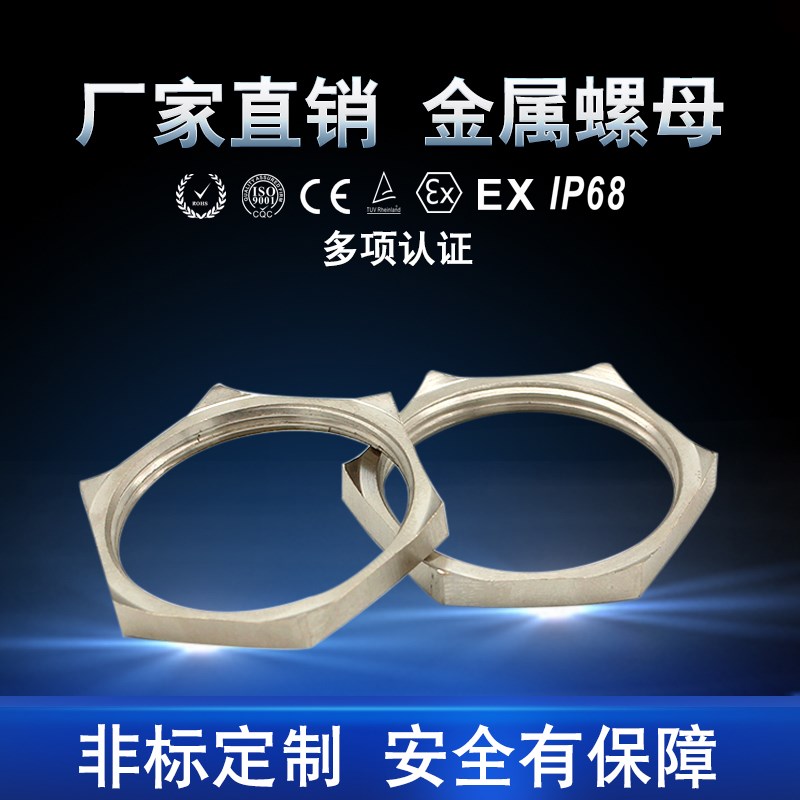 不锈钢304螺母工厂直销M型螺帽 常规六角对边螺丝圈 德制螺纹PG型