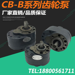 B25 B2.5 B16 无锡佳齿轮泵CB B32 B63 B50 B80 B10 B40 B20