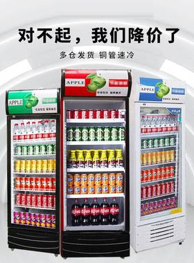商用大容量饮料柜立玻式冰箱冰柜保璃单双门市啤酒超鲜冷藏展LZI