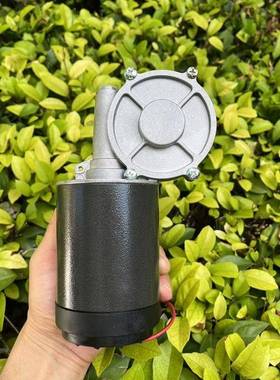 A款AC22正0V整流蜗轮力蜗杆直流减速机电永磁直流马达大功率大扭