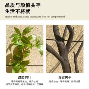 高H0426204端醉马木仿真树假树植物橱窗造景室内干景装生饰树仿植