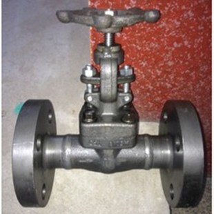 J41H H44H锻钢法兰截止阀闸阀止回阀高温高压蒸汽手动阀门 Z41H