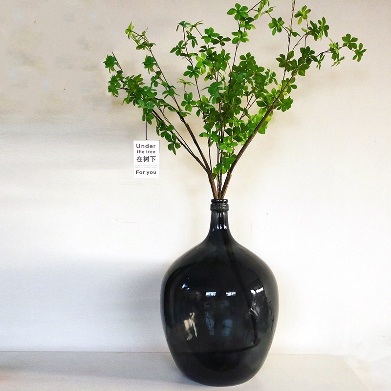 简约透明大肚玻璃花瓶小口马醉A木花瓶吊钟插花客厅摆件水容器大