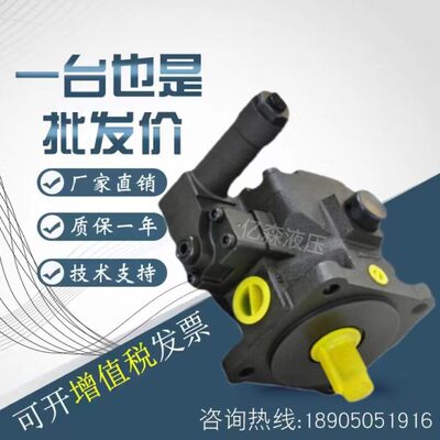 德克玛Dekema变量叶片泵VP3-20/30/40-35/55/70/140液压油泵