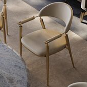 现代轻奢餐椅高级感餐桌椅子家用靠背椅书房书桌椅泡茶主客人椅子
