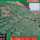 土墙土工布袋草籽袋护坡生态袋山体河道边坡绿化植生袋绿色防汛挡