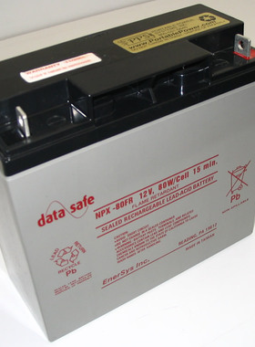 正品datasafe NPX-80 NPX-80FR NPX-80RFR 12V80W船舶S-VDR蓄电池